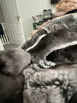 Furdale online show from 22, 2, 2026