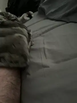 Furdale online show from 23, 3, 2026