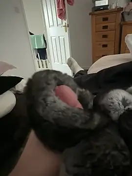 Furdale online show from 8, 4, 2026