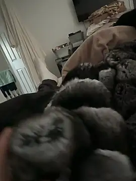 Furdale online show from 17, 2, 2026