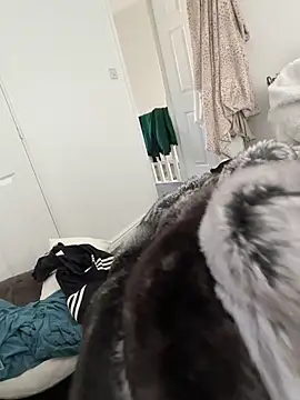 Furdale online show from 8, 3, 2026