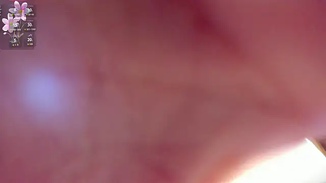 shanakendall online show from 25, 2, 2026