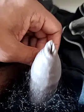 malluflash online show from 14, 2, 2026