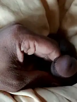 malluflash online show from 10, 1, 2026