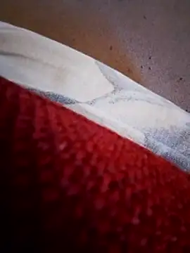 rodovlaz online show from 10, 2, 2026