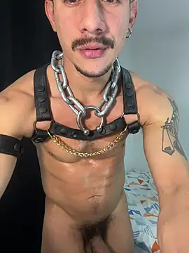 lazzon bastion online show from 8, 7, 2026