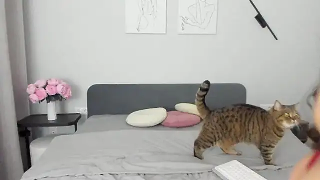 miss emily  online show from 19, 4, 2026