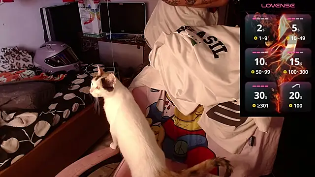 Apolo S online show from 17, 2, 2026