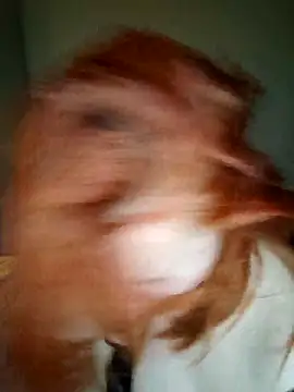 lollipop cat online show from 16, 4, 2026