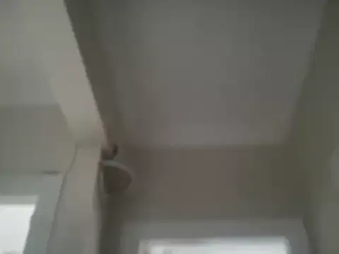 ALPHANDRE online show from 5, 3, 2026