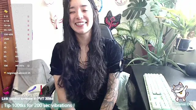 cat salo online show from 29, 11, 2025