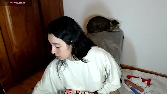 cat salo online show from 5, 10, 2025
