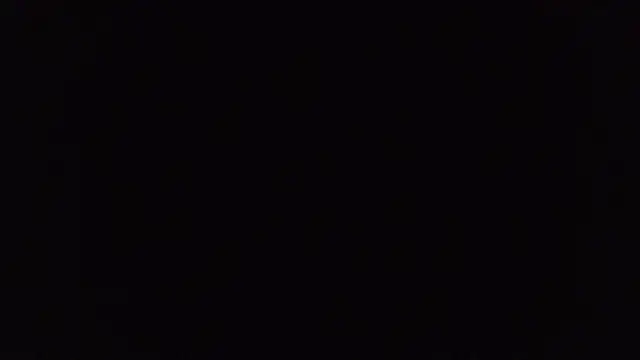 BuckWessle online show from 31, 10, 2025