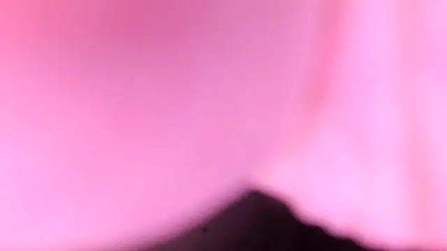 sr4343 online show from 17, 2, 2026