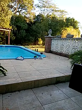 dutra498 online show from 14, 3, 2026