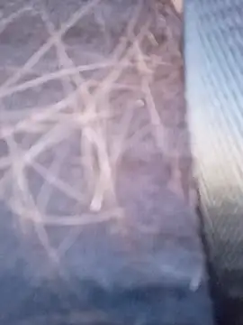 piiruwx online show from 4, 3, 2026