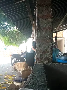 PrivCamZone online show from 12, 10, 2025