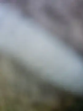 fuckineverett online show from 15, 3, 2025