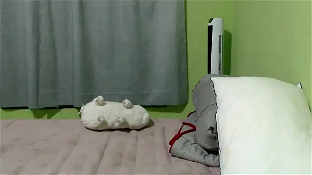 Snapshot of YummymeowW chatting on 14, 12, 2024 YummymeowW online show from 14, 12, 2024