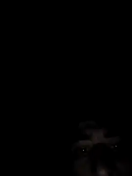 SpeedMagnumBlade6669 online show from 14, 2, 2026