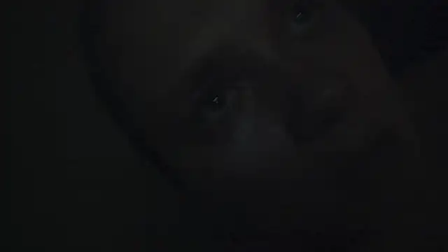 FrumCake online show from 15, 1, 2025