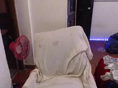 deftoolceles online show from 12, 3, 2026