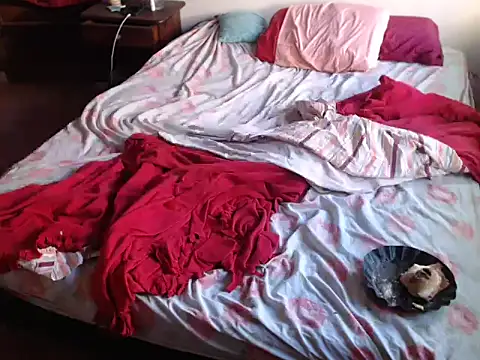 deftoolceles online show from 23, 3, 2026