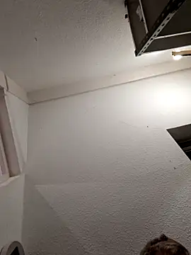 Percy ohv online show from 1, 11, 2025