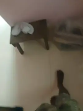 anjaanarun online show from 10, 11, 2025