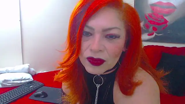 dairia meraky online show from 25, 10, 2025