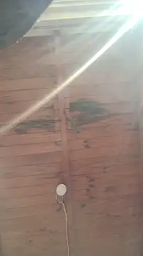 ZaraHoney online show from 30, 10, 2025