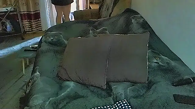 sex2 online show from 5, 11, 2025