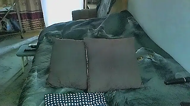 sex2 online show from 4, 11, 2025