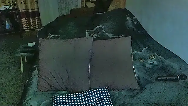 sex2 online show from 20, 10, 2025