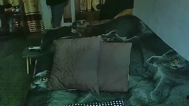 sex2 online show from 30, 3, 2026