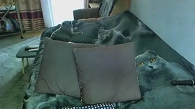 sex2 online show from 16, 10, 2025