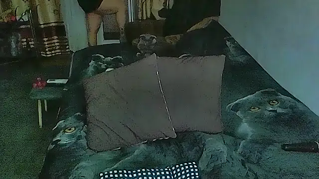 sex2 online show from 13, 4, 2026