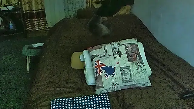 sex2 online show from 19, 12, 2025