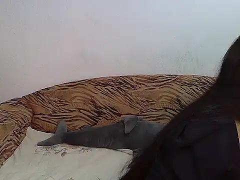 Aleksa Blackdream online show from 28, 11, 2025