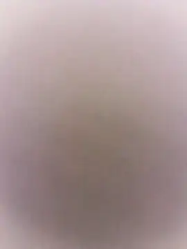 marie12345679 online show from 7, 3, 2026