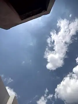 Sammons  online show from 1, 3, 2026