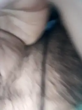 Pitercom online show from 15, 1, 2026