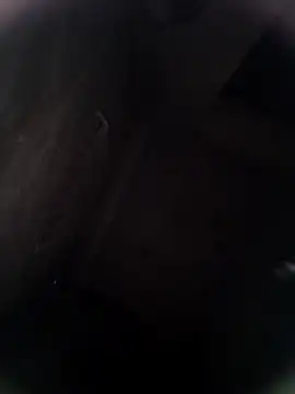 Pitercom online show from 8, 2, 2026