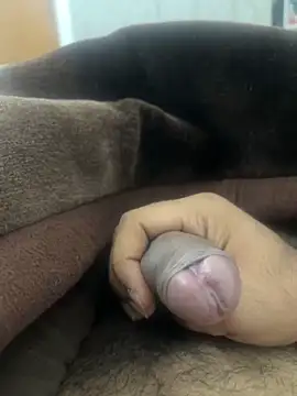 Snapshot of bigshow112 chatting on 15, 1, 2026 bigshow112 online show from 15, 1, 2026