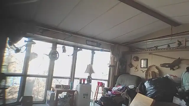 Yankeedave420 online show from 14, 11, 2025