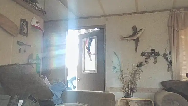 Yankeedave420 online show from 19, 11, 2025