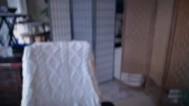 petradaniels online show from 20, 2, 2026