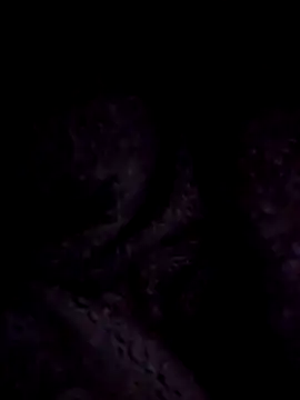 ScarletCallings420 online show from 22, 12, 2024