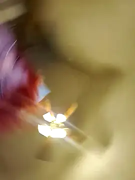 Cutegothcrybabyx online show from 14, 10, 2025