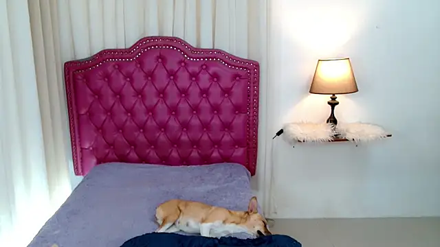 DreamLADYBOY online show from 24, 2, 2026